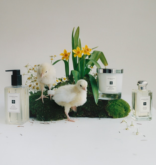 Jo Malone London wash cologne and candle with chicks greenery and flowers